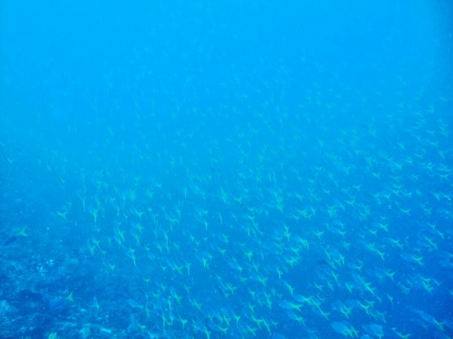 DSC09217
